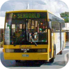 Surfside Buslines in Yellow livery
